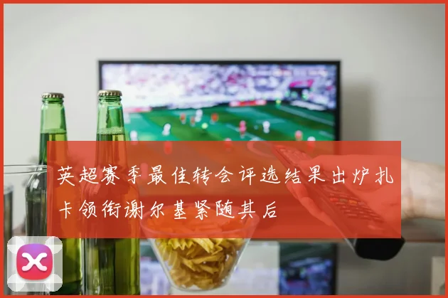 英超赛季最佳转会评选结果出炉扎卡领衔谢尔基紧随其后