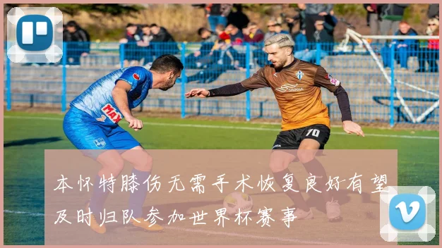 本怀特膝伤无需手术恢复良好有望及时归队参加世界杯赛事